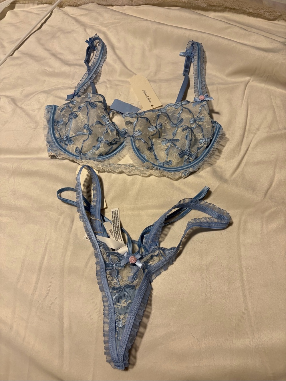 NWT.  For Love& Lemons. Light Blue Lace Embroidered Bra & Thong Set